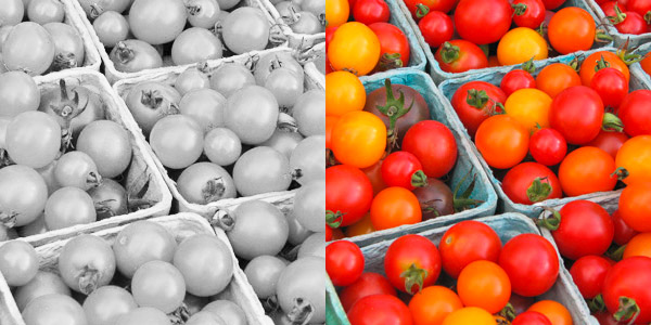 All-Color-Tomate